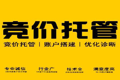 某品牌SEM广告投放效果全解析